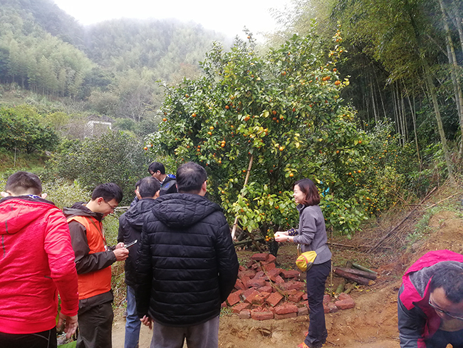 微信图片_20181214153045.jpg